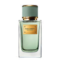 Dolce & Gabbana Velvet Infusion Eau de Parfum